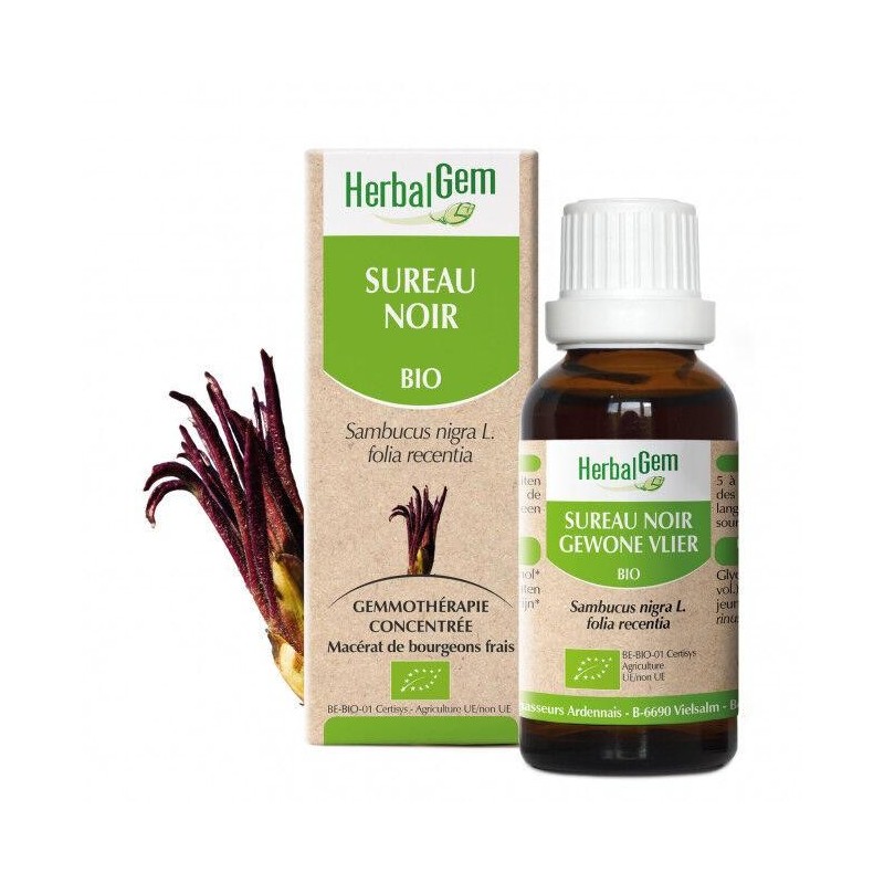 Macérat de bourgeons de sureau noir bio