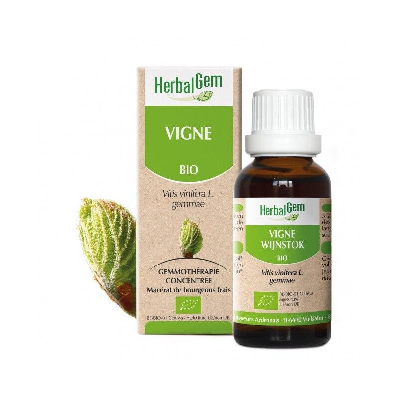 HerbalGem Vigne bio 10 ml pour le confort des articulations et digestion