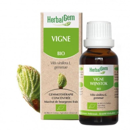 HerbalGem Vigne bio 10 ml pour le confort des articulations et digestion