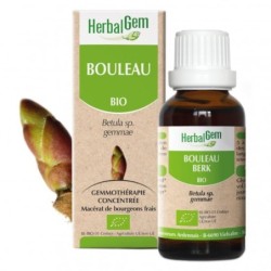 Bouleau bio HerbalGem