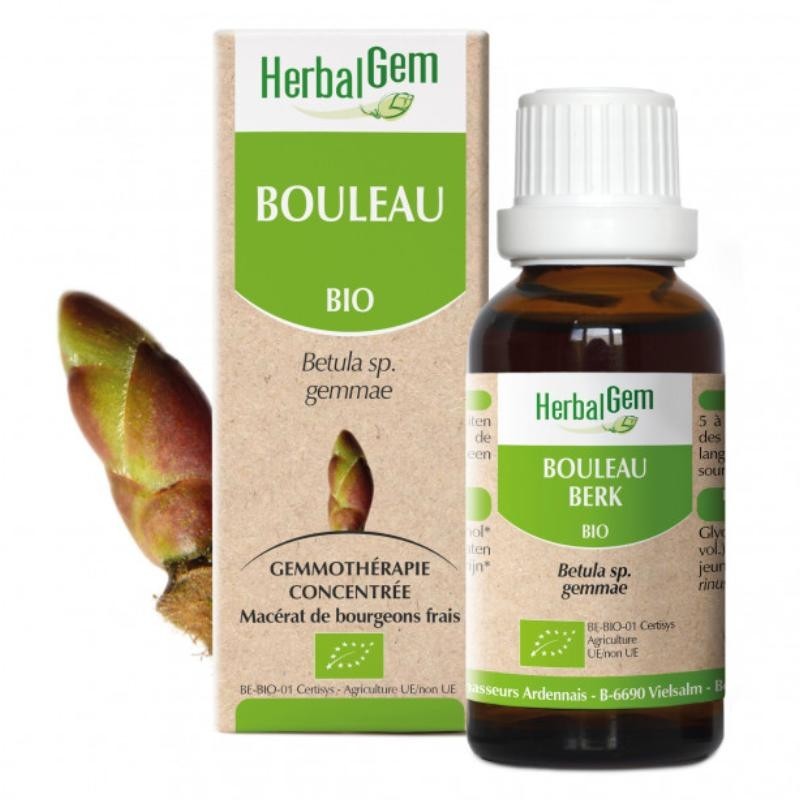 Bouleau bio HerbalGem