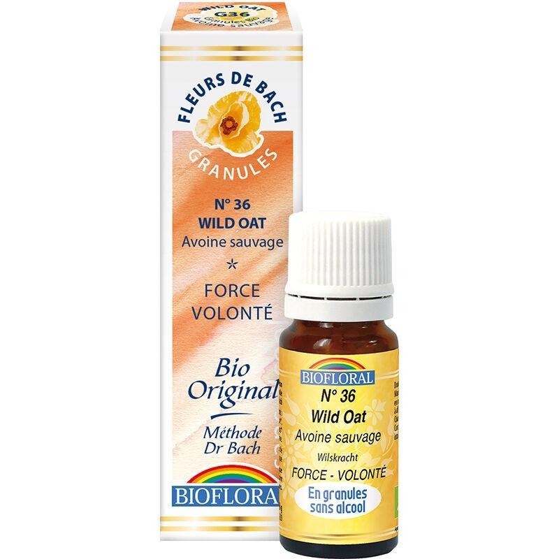 Granules Avoine Sauvage n°36 Bio - Fleur de Bach pour aider à clarifier ses objectifs et surmonter les indécisions.