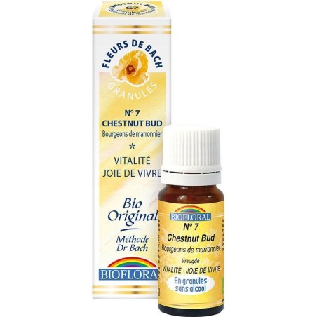 Granules de Bourgeon de Marronnier n°7 de Biofloral pour aider à apprendre de ses erreurs et favoriser le bien-être.
