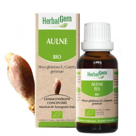 Aulne bio HerbalGem