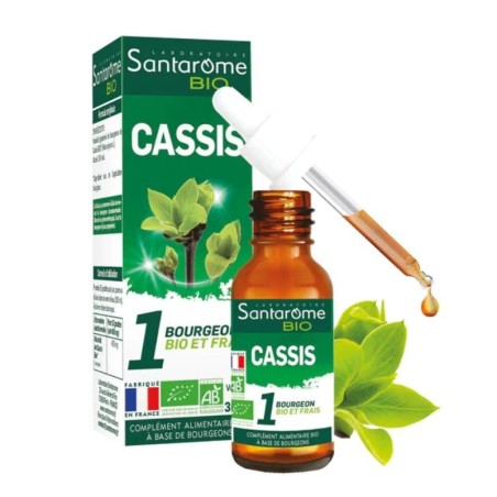 Flacon de Cassis bio Santarome