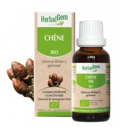 Chêne bio de Herbalgem