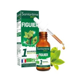 Figuier bio Santarome pour l'équilibre émotionnel et le bien-être naturel