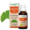 HerbalGem Ginkgogem bio GC08