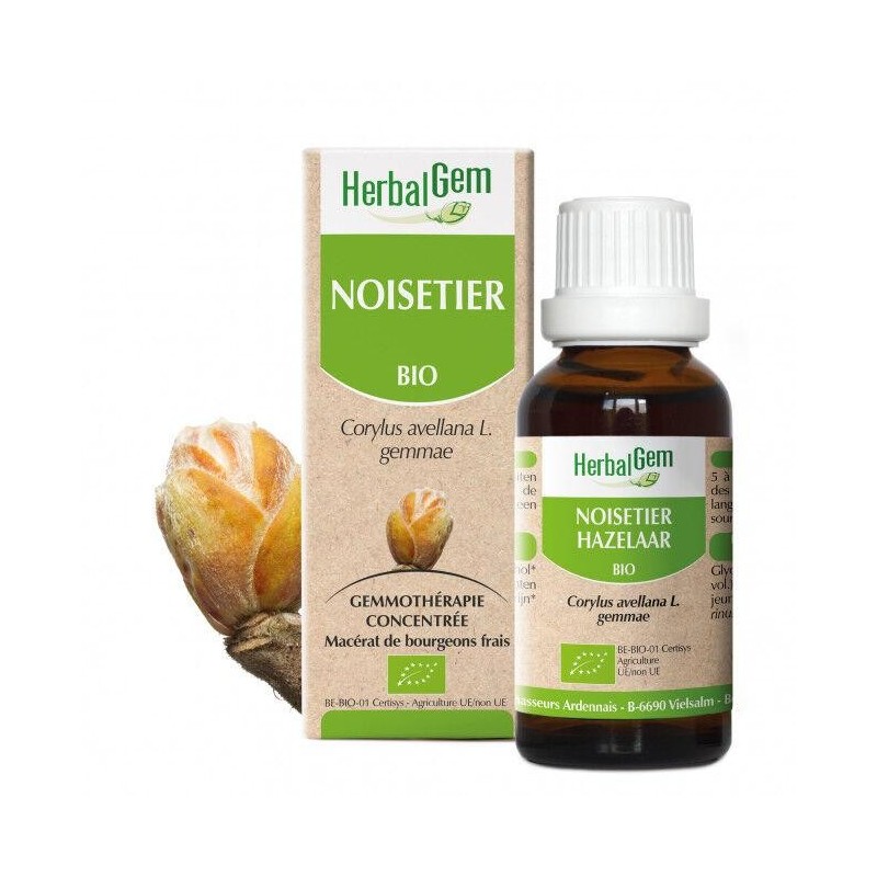 Flacon de Noisetier bio