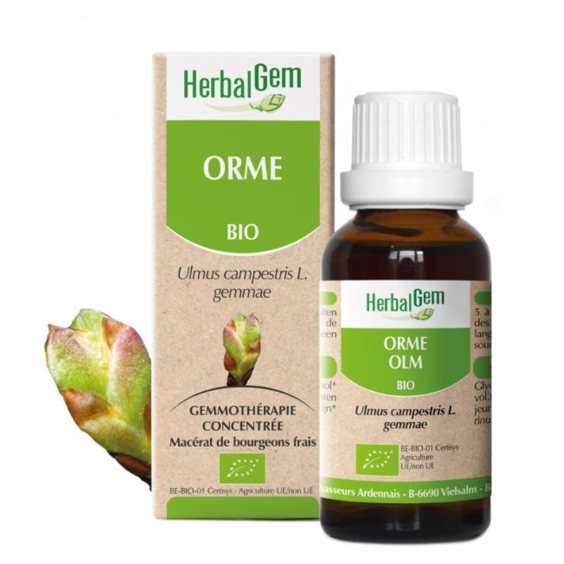 Orme bio 50 ml - Macérat de bourgeons pour une peau éclatante et naturelle.