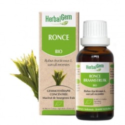 HerbalGem Ronce bio 2 ml