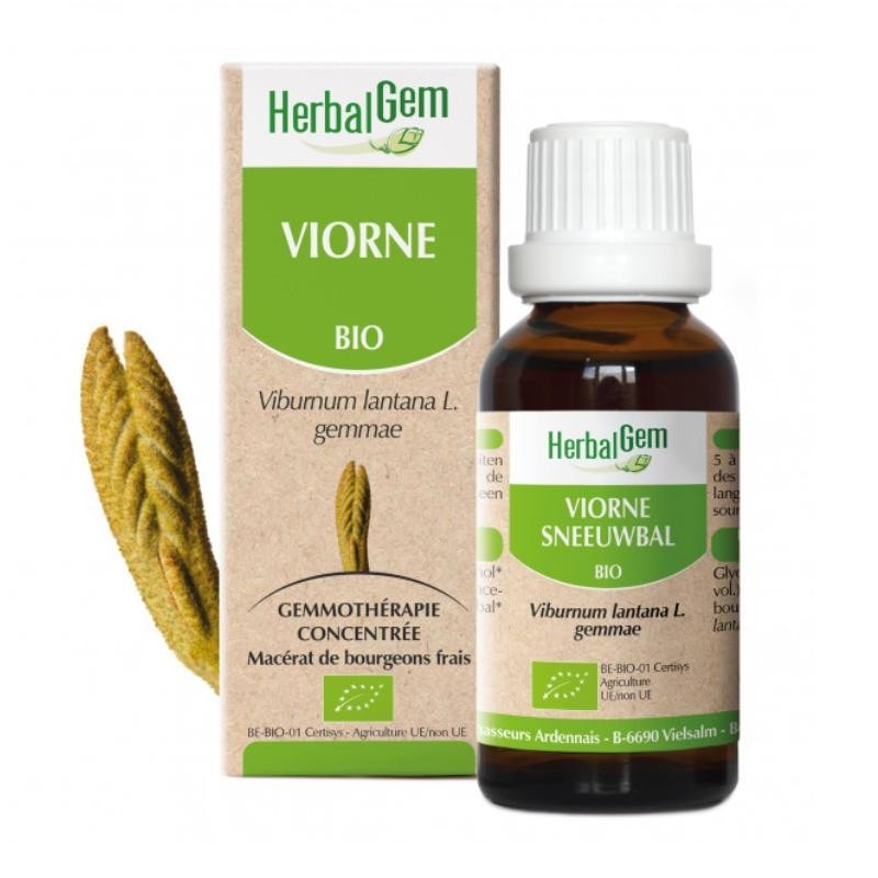 Viorne bio 50 ml - Draineur naturel pour la peau et soutien respiratoire
