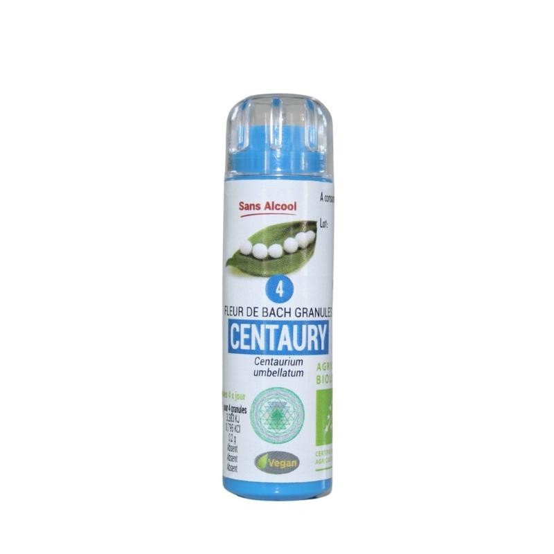 Centaurée 04