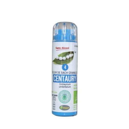 Centaurée 04