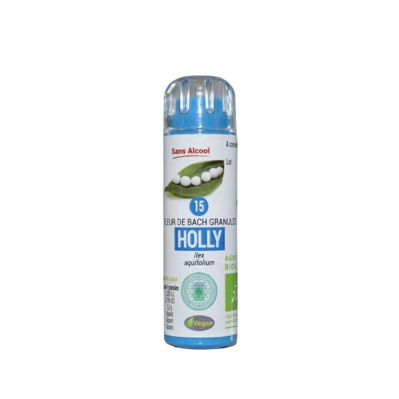 Houx (Holly) 15