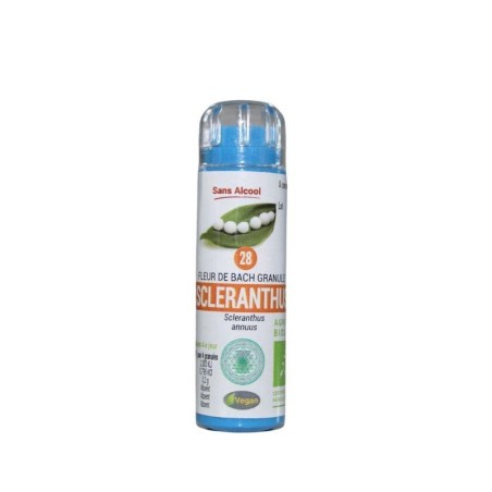 Alène (Scleranthus) - Granules biologiques pour l'indécision et le bien-être émotionnel.