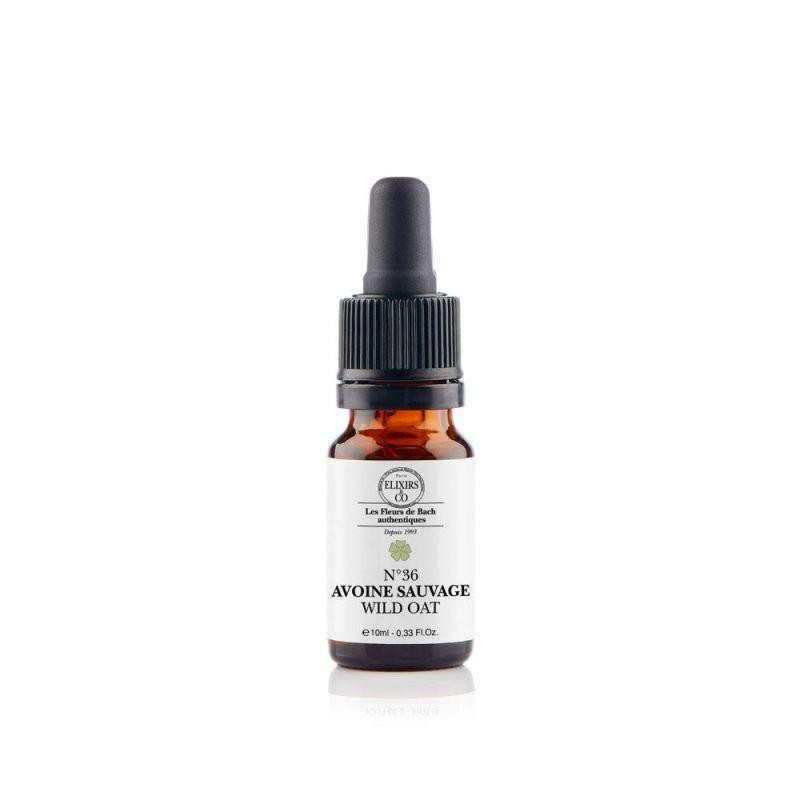 Folle Avoine Sauvage Bio 36