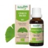 HerbalGem Ginkgo Biloba bio 5 ml