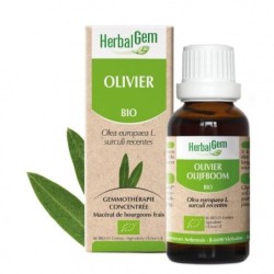 Olivier bio 10 ml Herbalgem