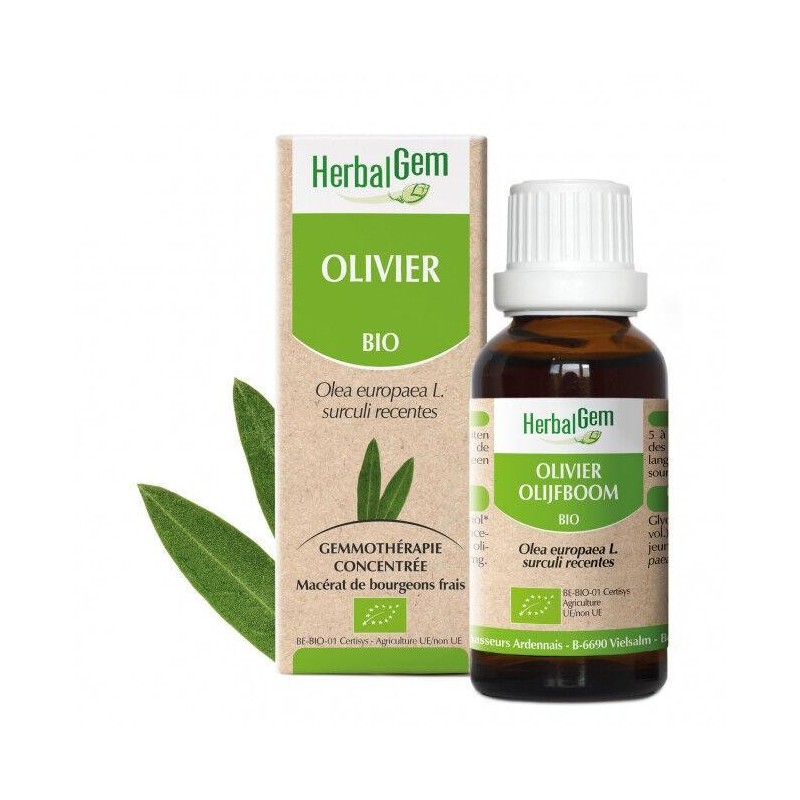 Olivier bio 10 ml Herbalgem