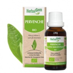 Flacon de Pervenche bio 10 ml - extrait pour mémoire et concentration