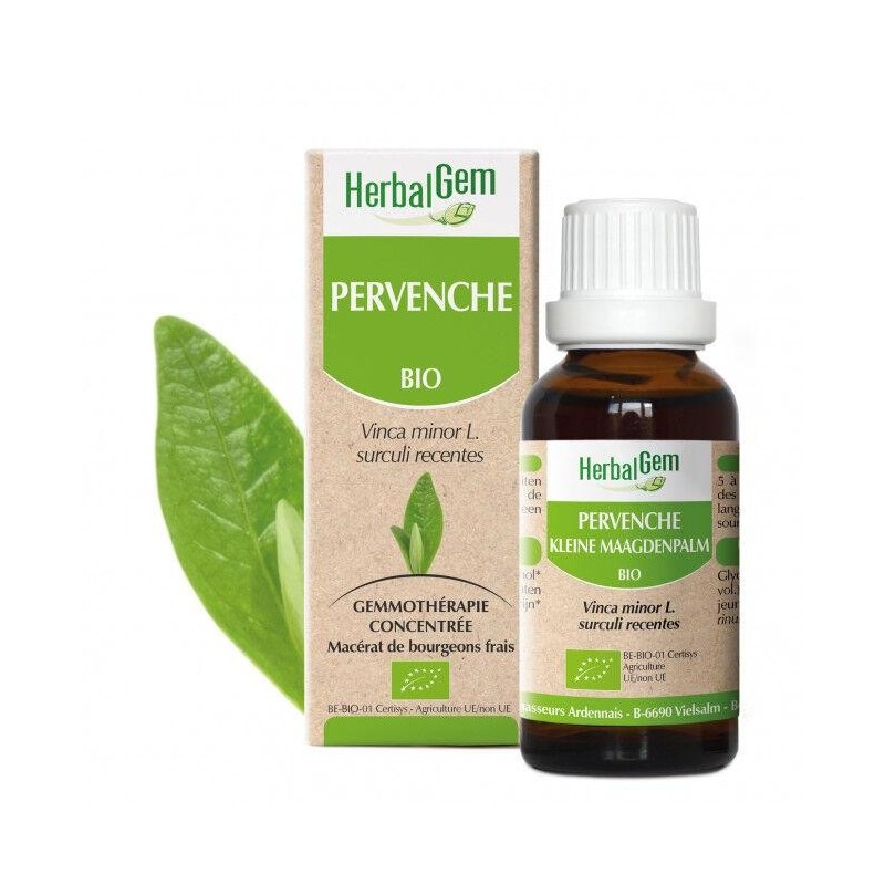 Flacon de Pervenche bio 10 ml - extrait pour mémoire et concentration