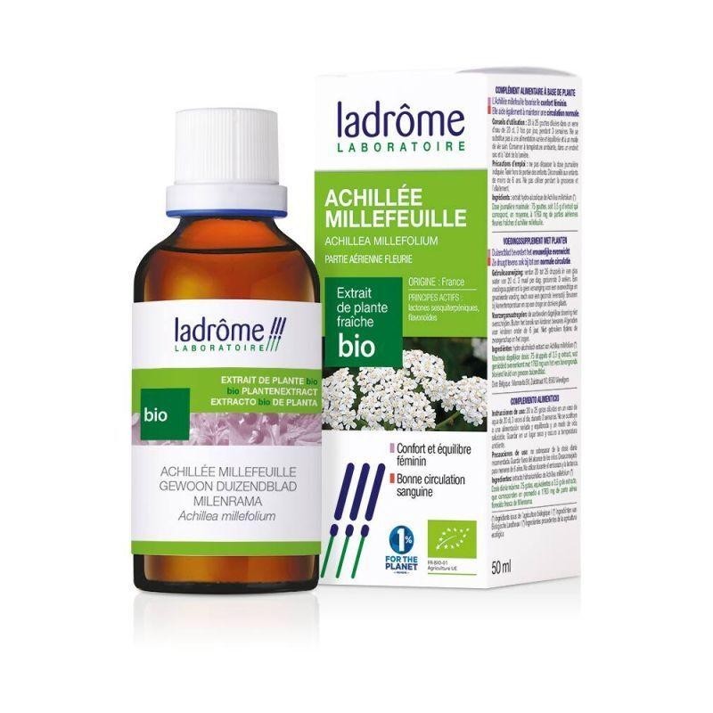 Extrait d'Achillée millefeuille bio