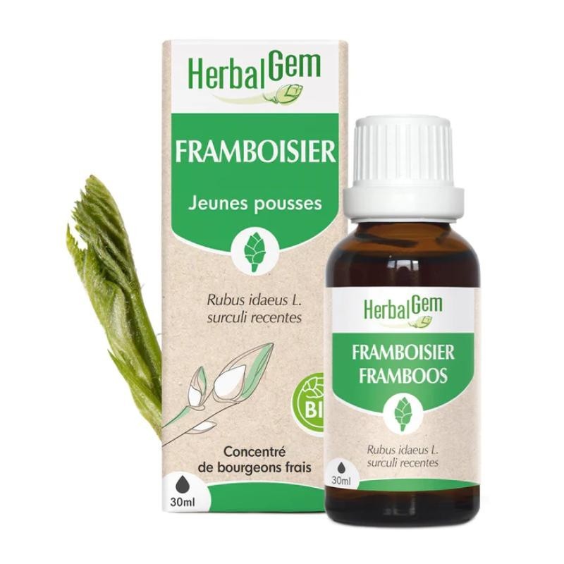 Framboisier bio Herbalgem - soutien hormonal pour femmes