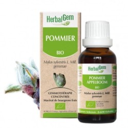Extrait de macérat de bourgeons de Pommier Bio HerbalGem pour relaxation et soutien des bouffées de chaleur