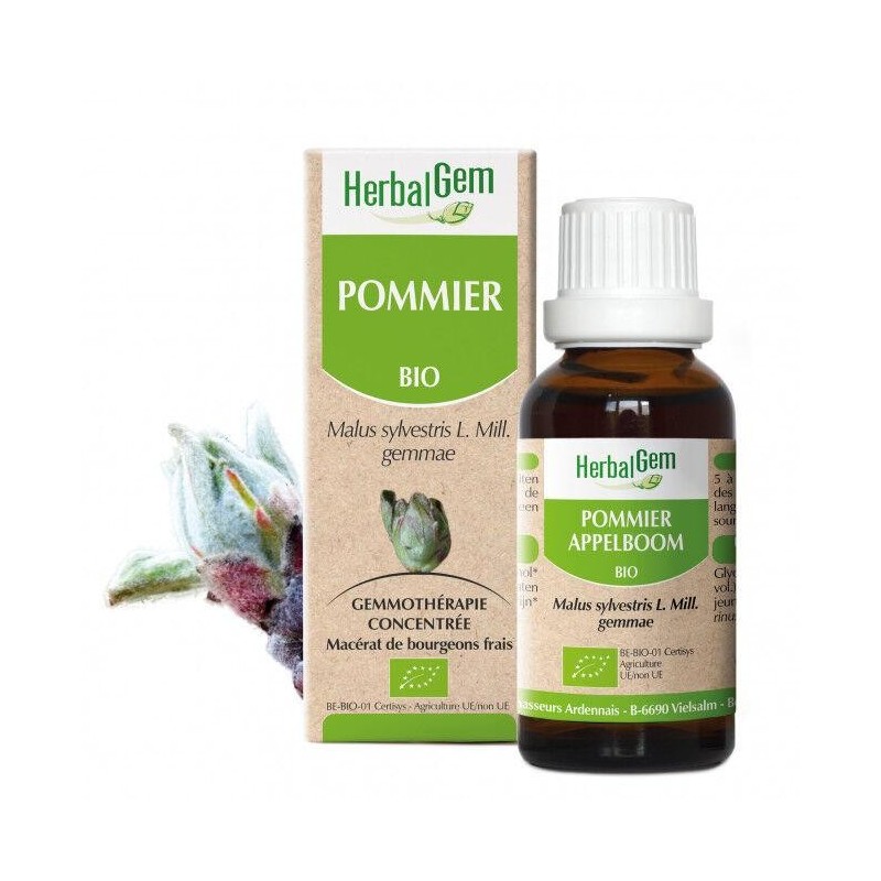 Extrait de macérat de bourgeons de Pommier Bio HerbalGem pour relaxation et soutien des bouffées de chaleur