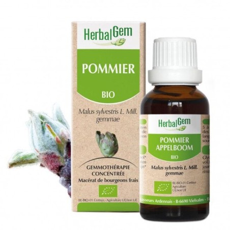 Extrait de macérat de bourgeons de Pommier Bio HerbalGem pour relaxation et soutien des bouffées de chaleur