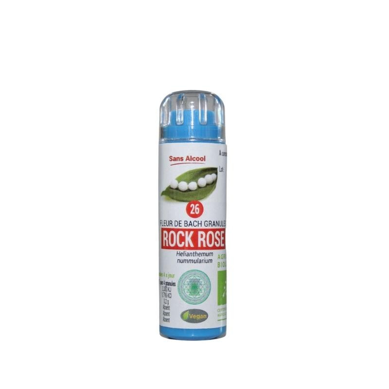 Hélianthème (Rock Rose) 26