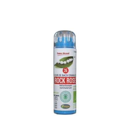 Hélianthème (Rock Rose) 26