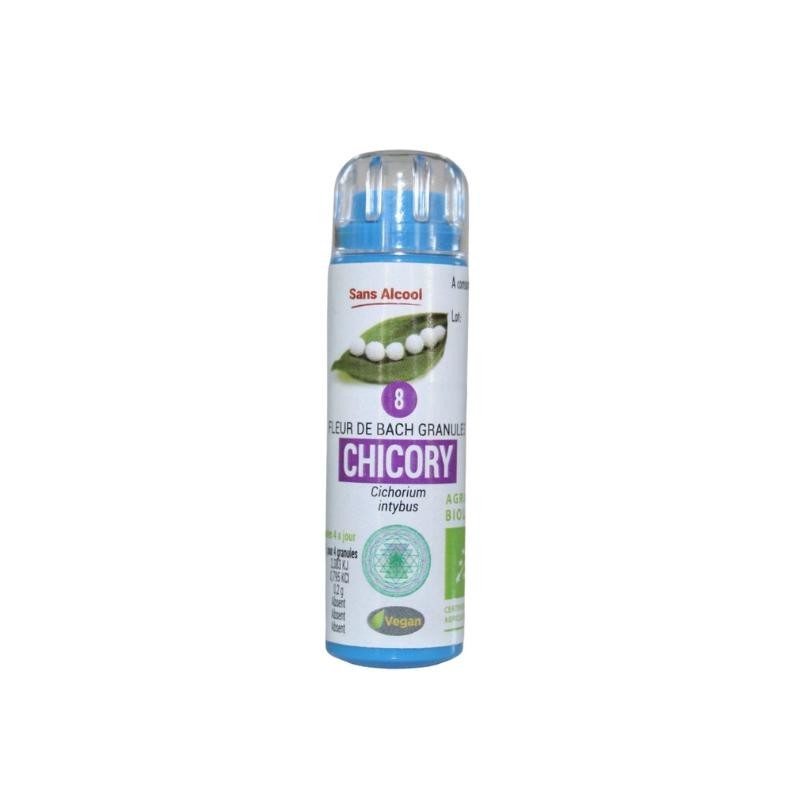 Chicorée (Chicory) 08