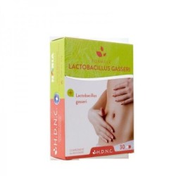 Lactobacillus Gasseri