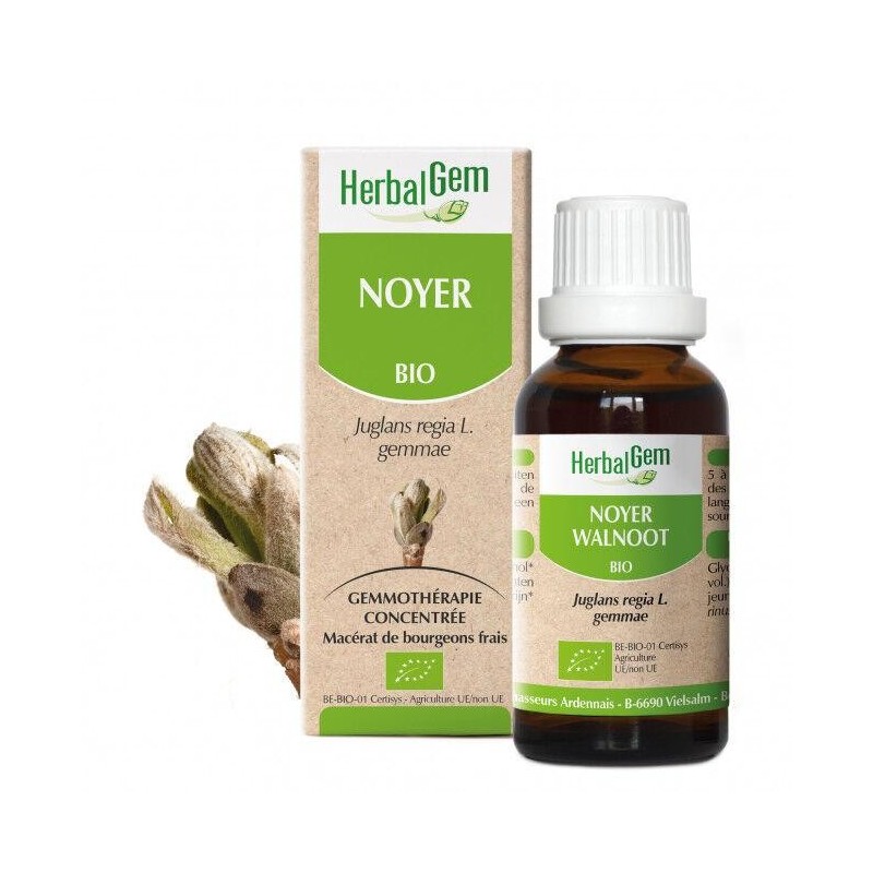 Flacon de 10 ml de Noyer bio d'HerbalGem