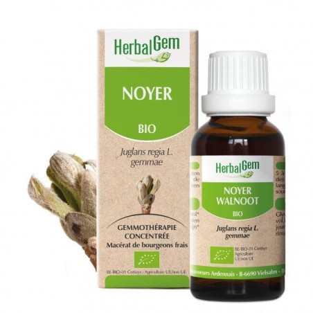 Flacon de 10 ml de Noyer bio d'HerbalGem