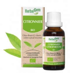 Macérat mère de bourgeons de citronnier bio