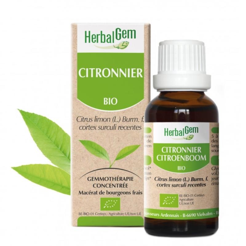 Macérat mère de bourgeons de citronnier bio