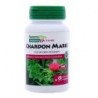 Image du produit Nature's Plus Chardon Marie 20 ampoules