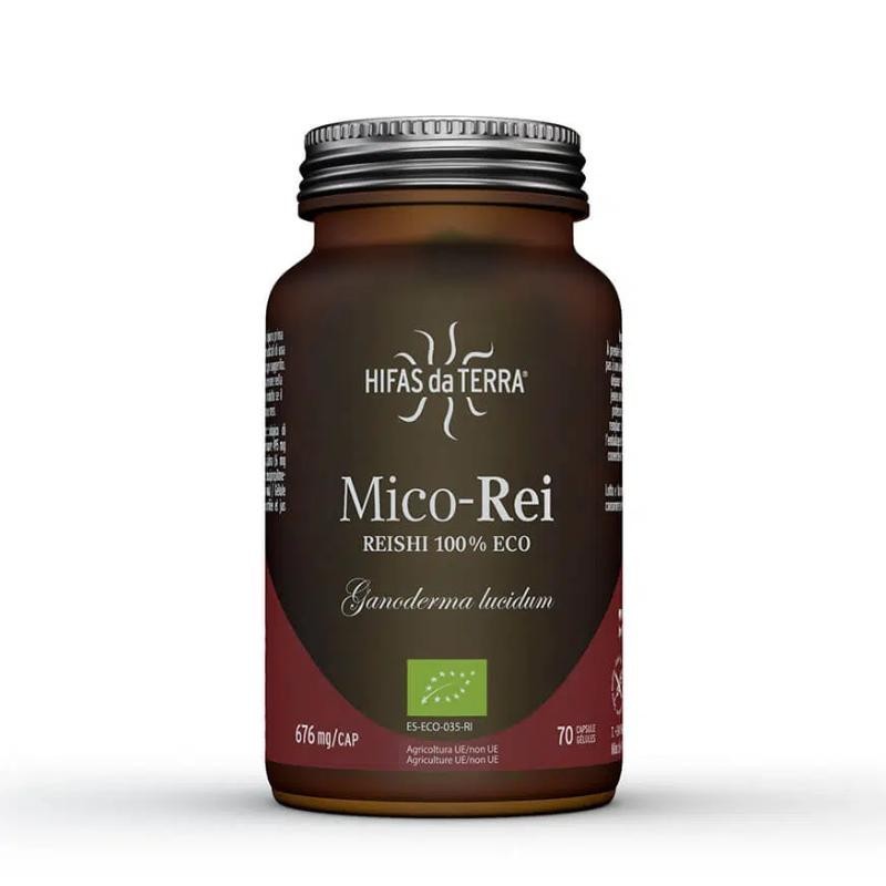 Mico-Rei de Hifas Da Terra