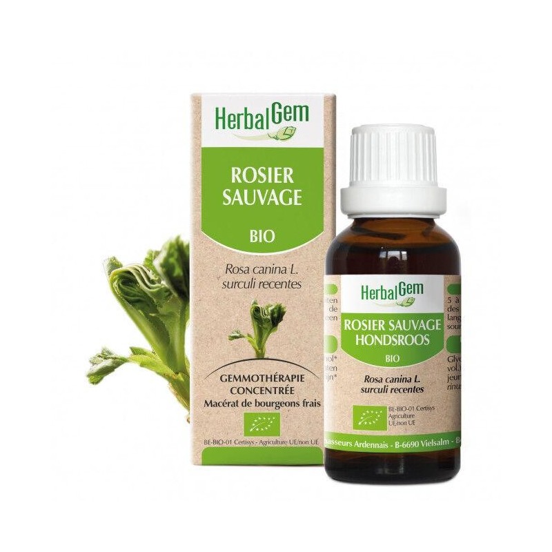 Rosier Sauvage Bio 50 ml - Élixir naturel pour renforcer les défenses immunitaires et favoriser la vitalité.
