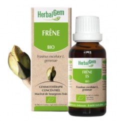 Flacon de Frêne bio 50 ml