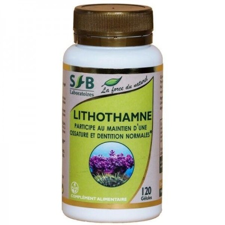 Lithothamne SFB