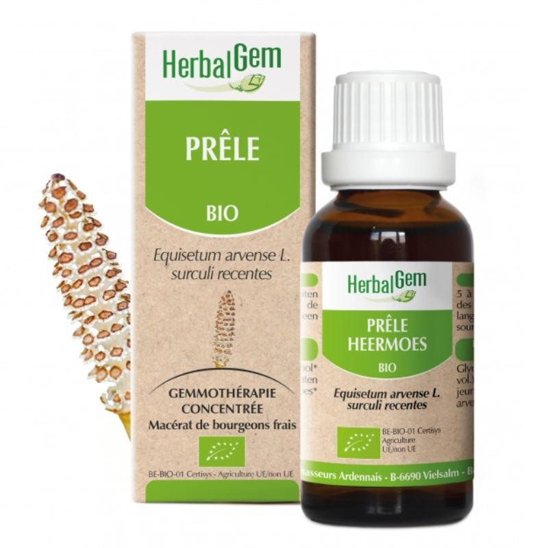Prêle bio d'HerbalGem