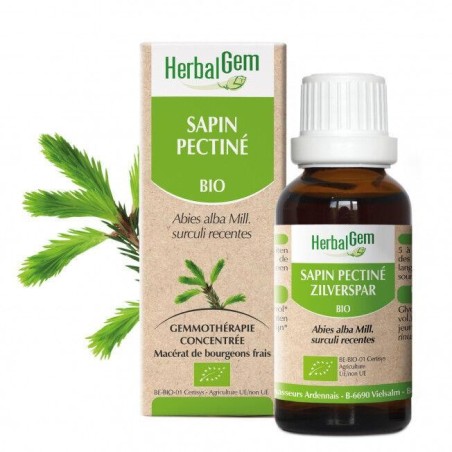 Sapin pectiné bio HerbalGem 10 ml