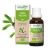 Sapin pectiné bio HerbalGem 10 ml