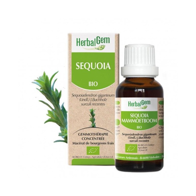 Complément alimentaire Sequoia bio 5 ml pour souplesse et renforcement