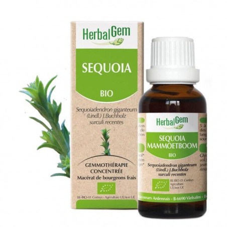 Complément alimentaire Sequoia bio 5 ml pour souplesse et renforcement