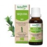 Complément alimentaire Sequoia bio 5 ml pour souplesse et renforcement